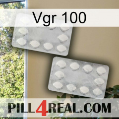 Vgr 100 17